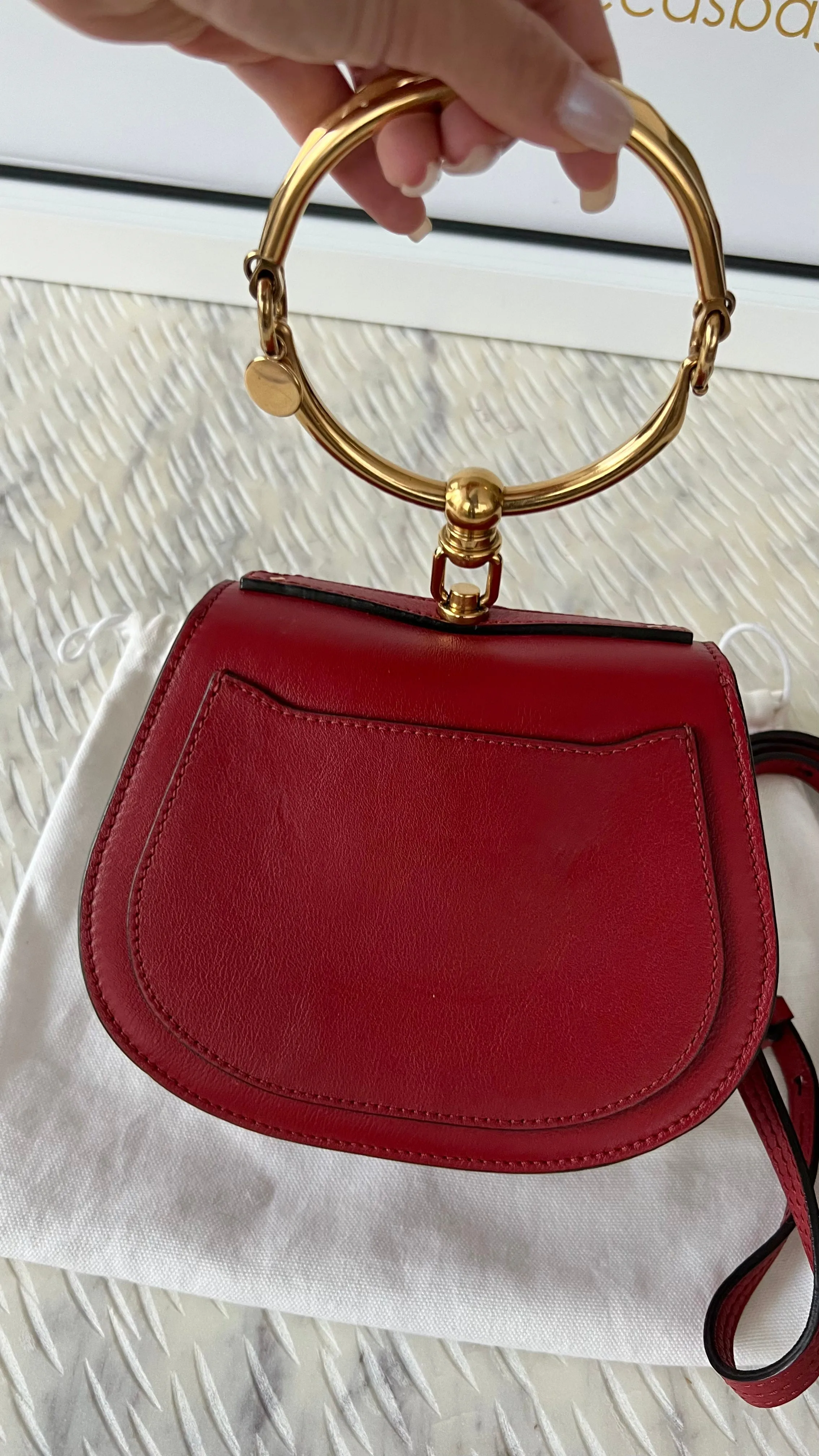 Chloe Nile Bag