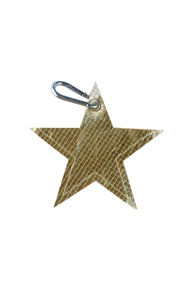 Gold Star Dog Poo Bag Pouch