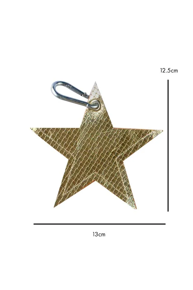 Gold Star Dog Poo Bag Pouch