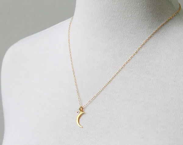 Small Moon Necklace